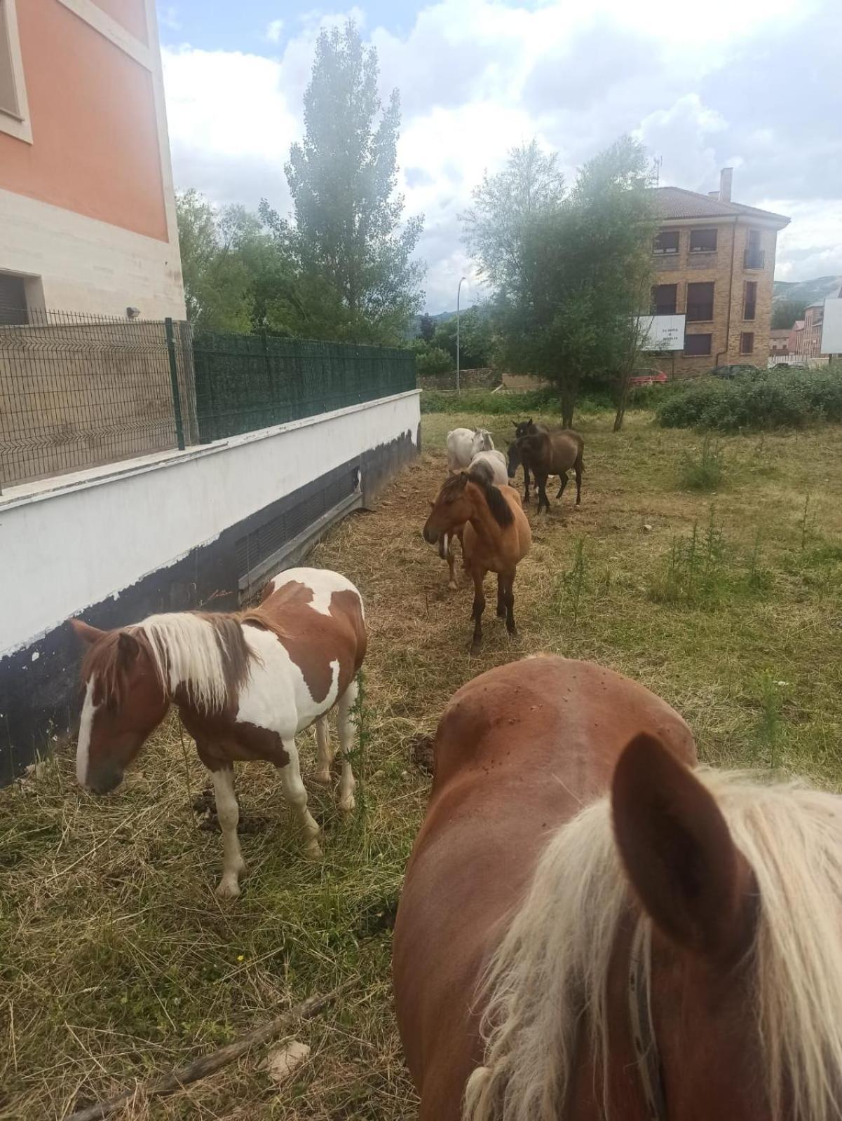 Alojamiento Fiordos Leoneses Bonar Dış mekan fotoğraf
